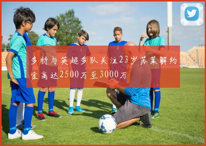 多特与英超多队关注23岁苏莱解约金高达2500万至3000万
